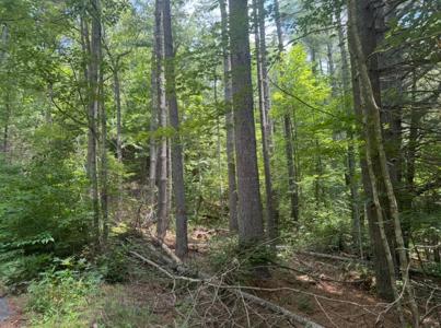 Lot 6 Baker Lane