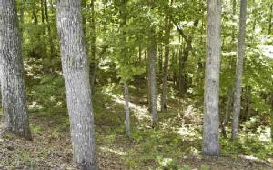 LT 27 TAHLEQUAH RIDGE