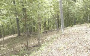 LT 28 TAHLEQUAH RIDGE