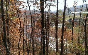 LOT 5 PINE RIDGE TRAIL