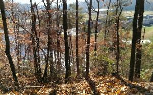 LT 12 PINE RIDGE TRAIL