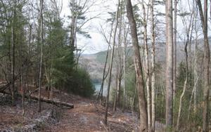 10A LAKE APPALACHIA ACRE