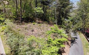 L11B BEECH COVE