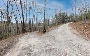 46 OLD FERGUSON TOWN RD