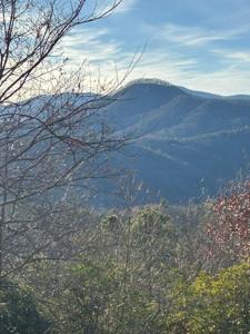 8 The Ridges /Bill Bro