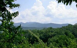 1 BYNUM PENLAND