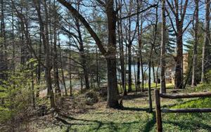 LT 24 HIAWASSEE LAKE EST