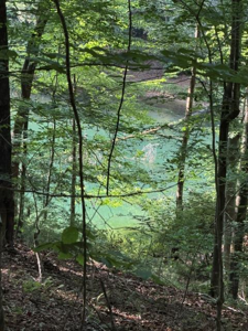 Lot 37 Quiet Waters