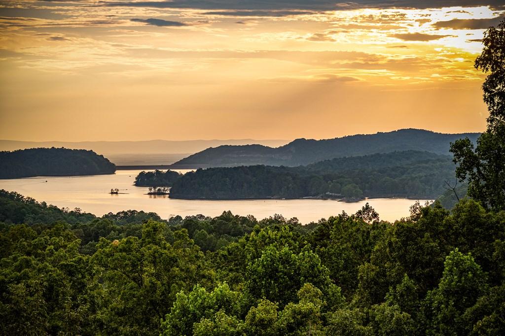 Image 3: Actual photo of Carters Lake from Deck