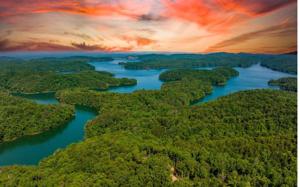 CARTERS VIEW DRIVE