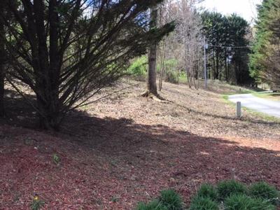 Lot 28 Sneaking Creek Drive
