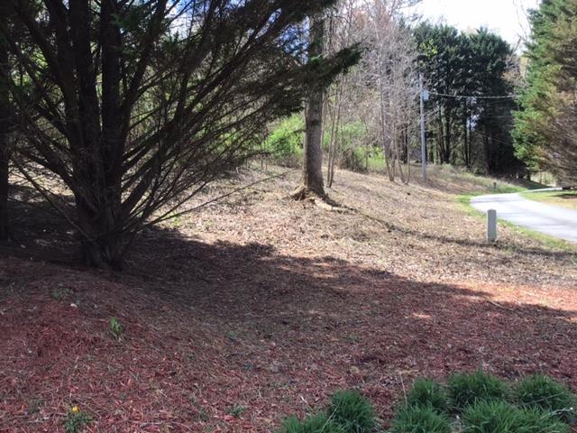 Image 1: Main View
