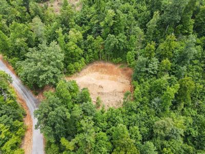 4.81 AC Tom Wheeler Road