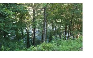 LT 17 WILDERNESS LAKE CIR