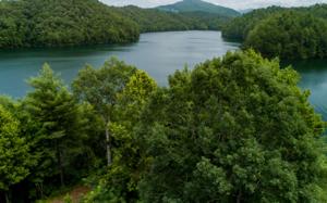 WILDERNESS LAKE CIRC
