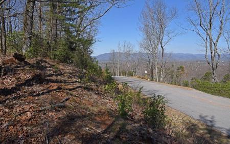 LT135 Timber Rock Drive, Cleveland GA 30528