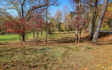 Lot 1 Hinton Overlook