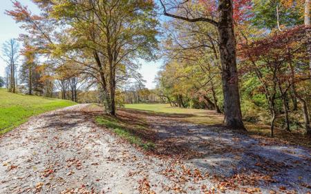 Lot 3 Hinton Overlook