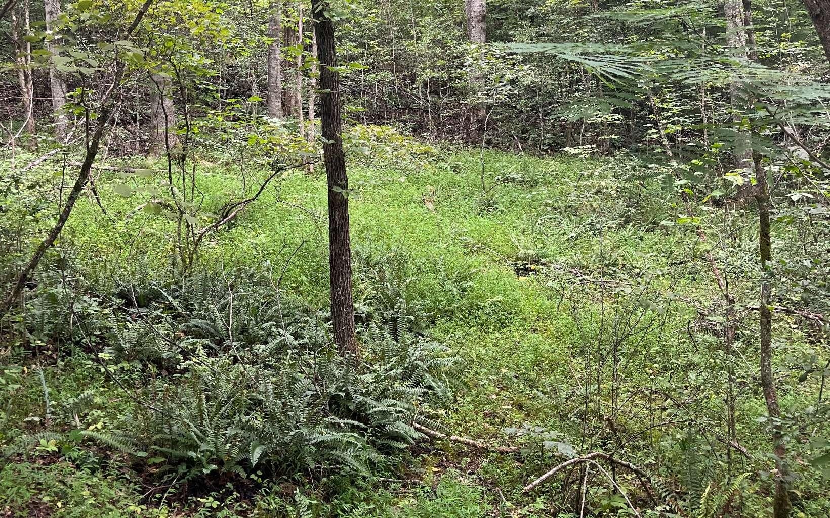 Image 3: Additional View