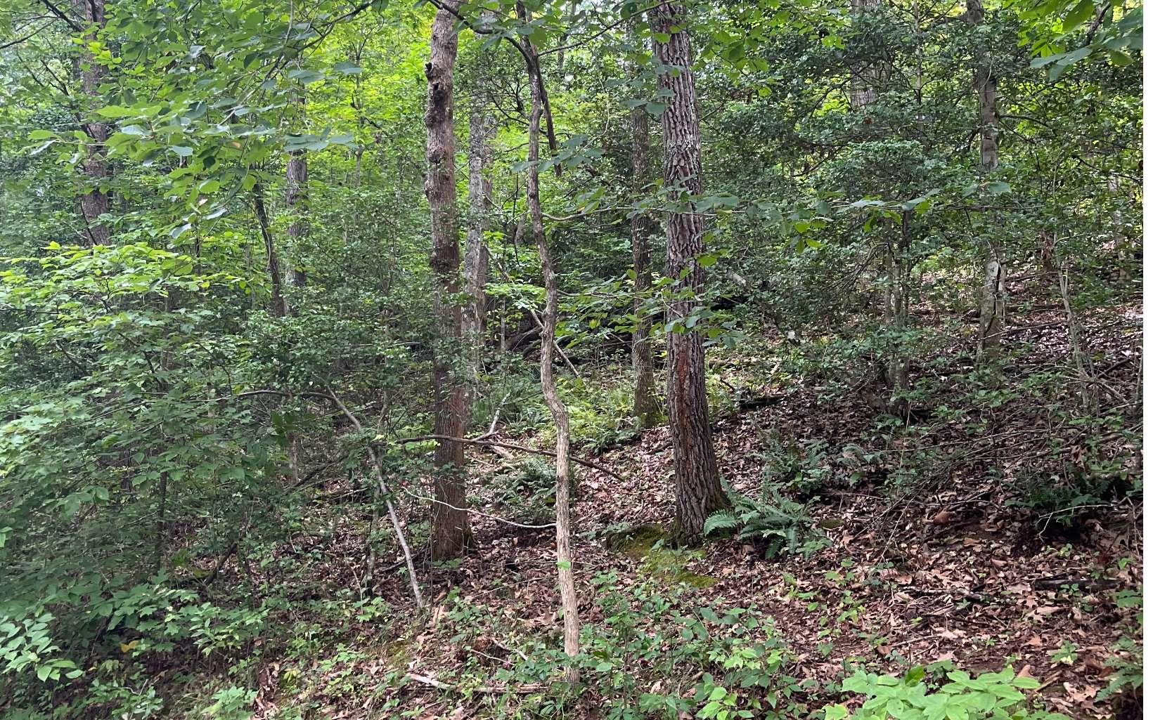 Image 4: Additional View