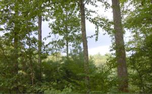 4,5,9 CHERRYWOOD DRIVE