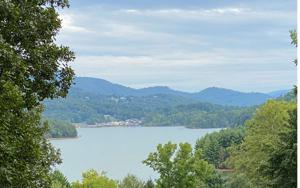LOT 5 BUENA VISTA DRIVE