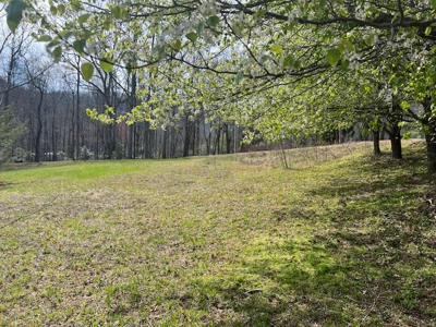 1.76 Ac. Twin Mountain Road