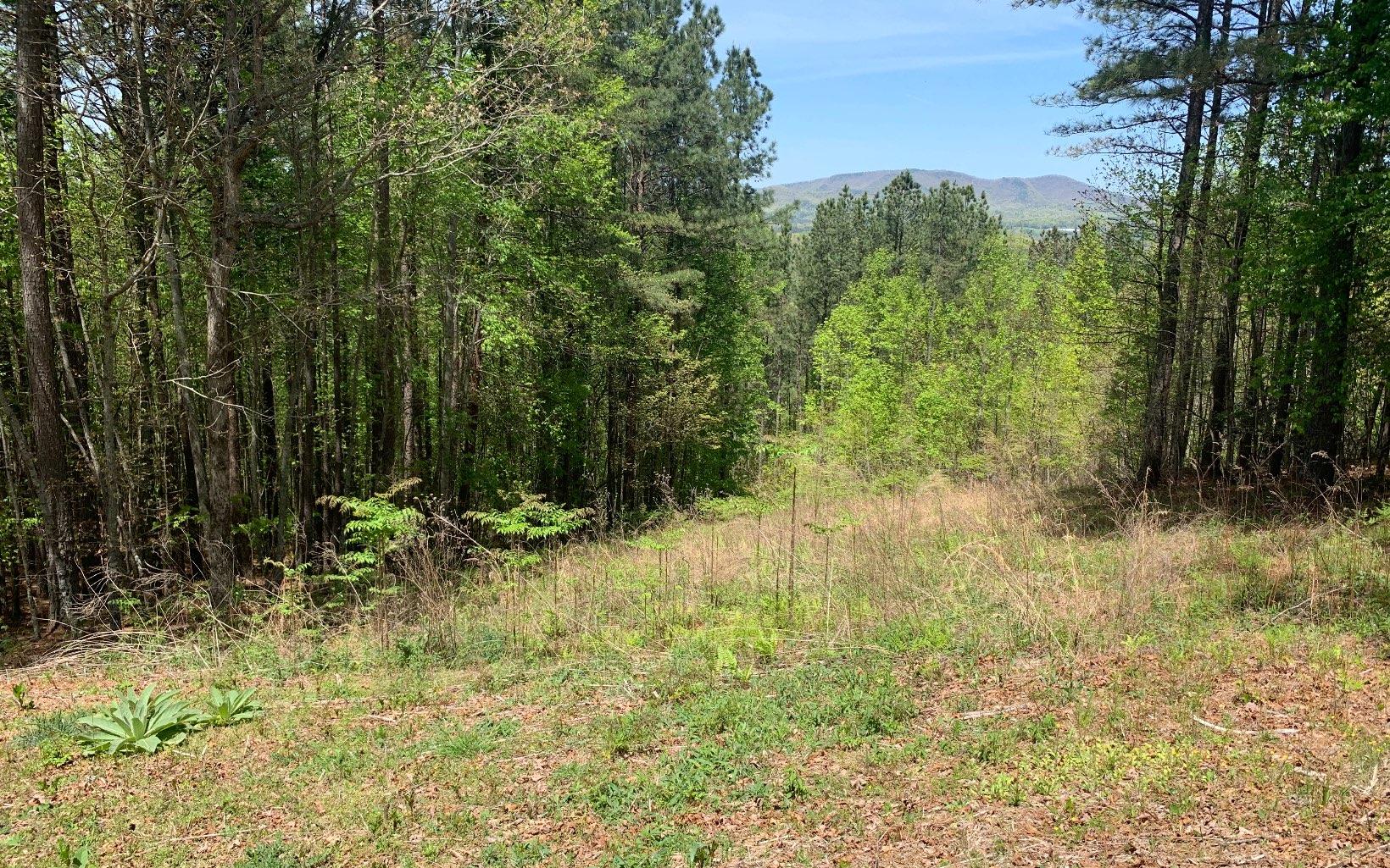 Image 1: Main View