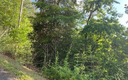 L 52+ Yellowbird Trail
