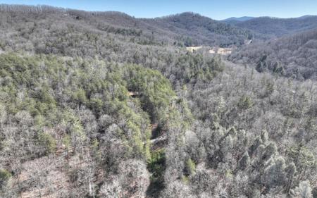 96 Acres Big Creek Road