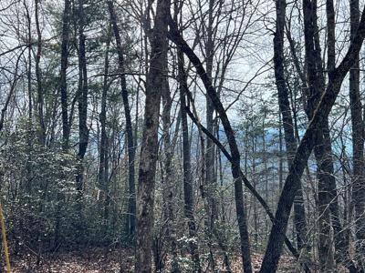 Lts 8&49 Penland Indian Trail