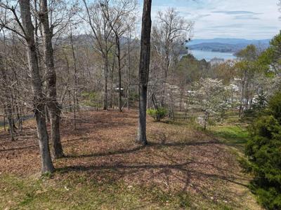 Lot 12 Chatuge Cove Drive