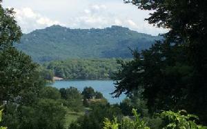 LOT 1 BUENA VISTA