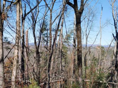 Lot 928 Myna Drive