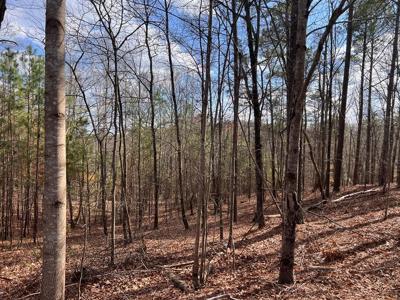 #25 Camp Branch Road
