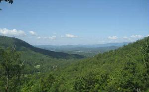 133 SHILOH RIDGE