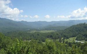 135 SHILOH RIDGE