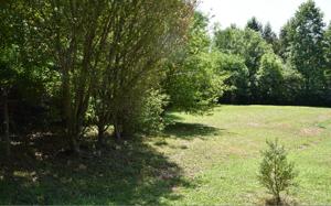 LT12E WOODS GROVE RD