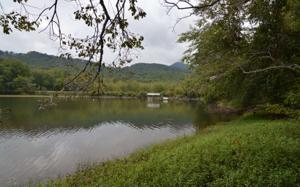 1214 DOGWOOD TRAIL
