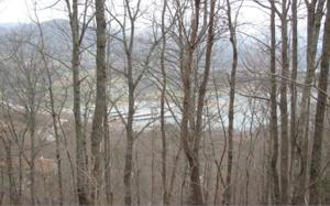 #8E RAMEY MOUNTAIN ROAD