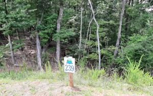 LT239 CARTERS VIEW LN