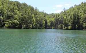 17 WILDERNESS LAKE CIRC