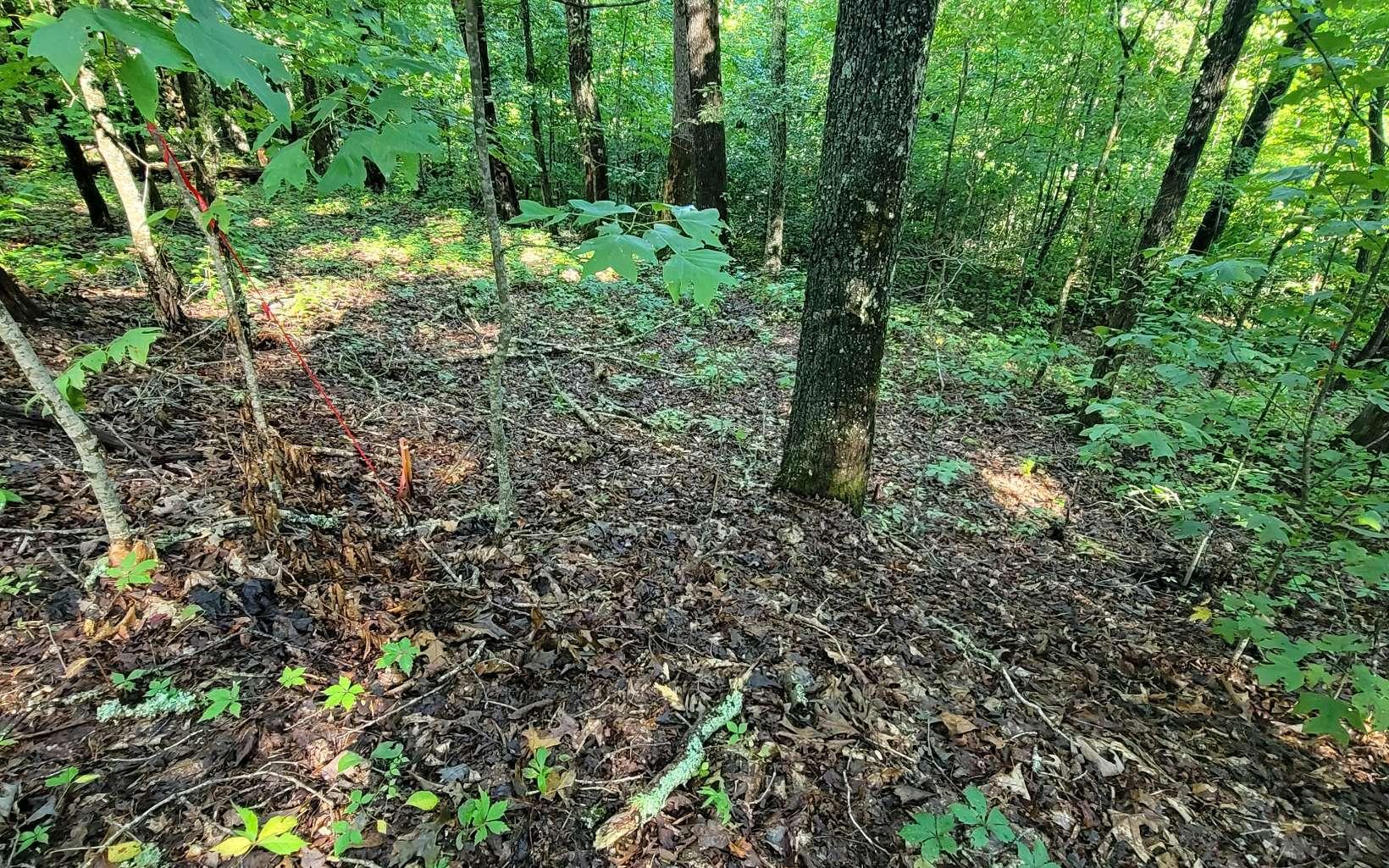 Image 2: Additional View