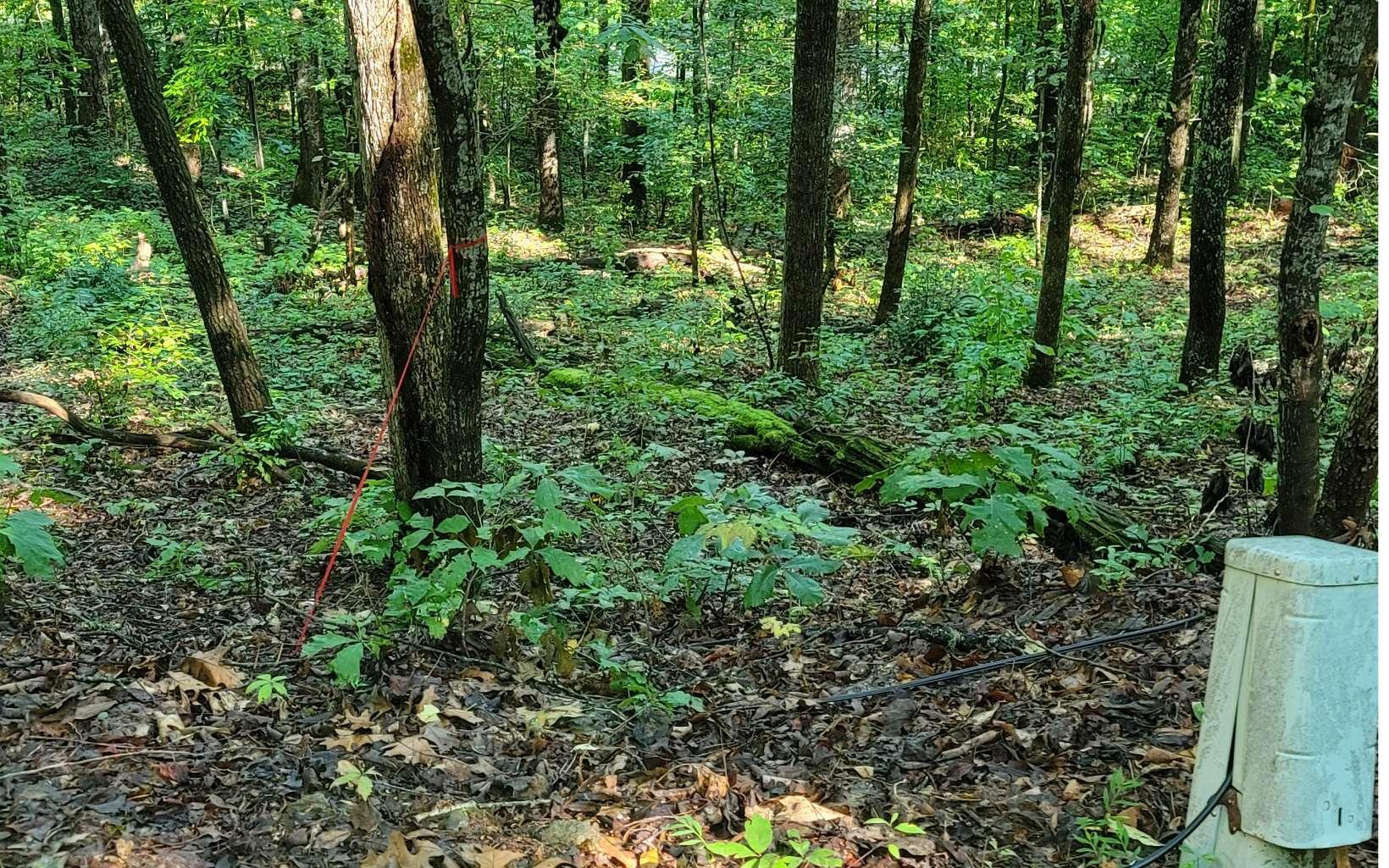 Image 3: Additional View