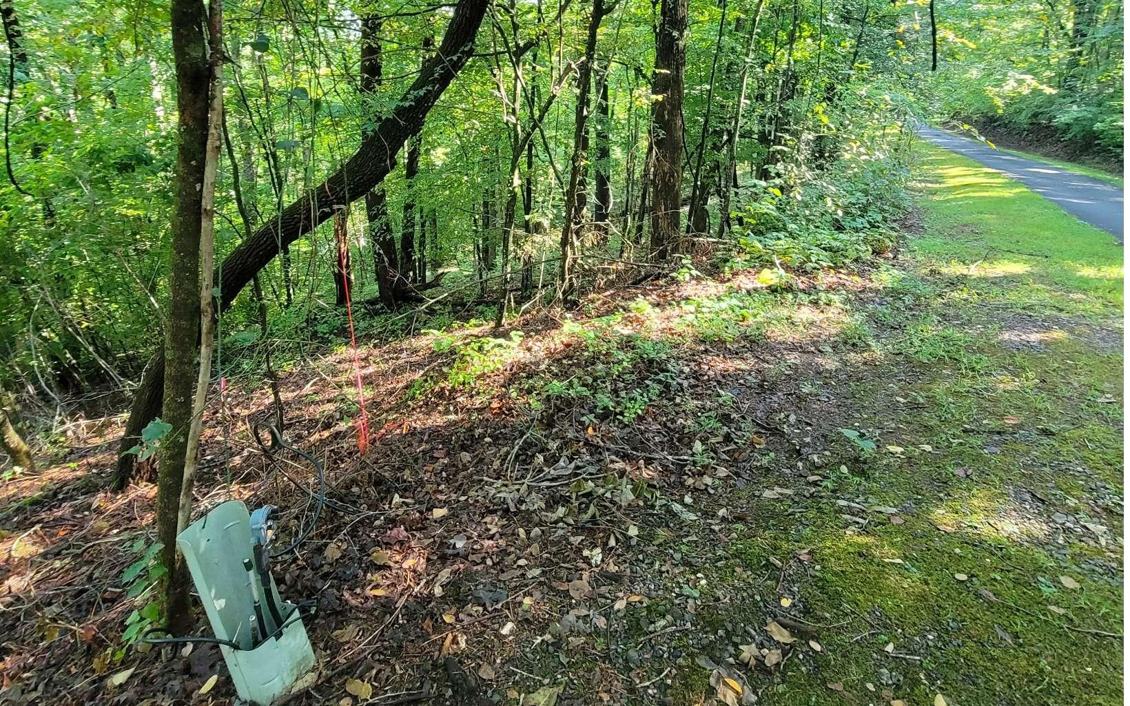Image 4: Additional View