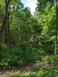 Lot 1&2 Highland Road