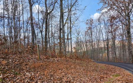 LT 84 Rocky Knob Est