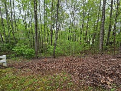 Lot 69 Chatuge Village