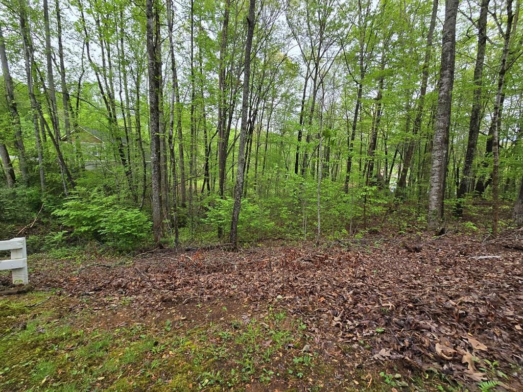 Image 1: Main View