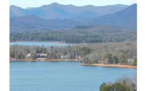 1125 RAMEY MOUNTAIN ROAD
